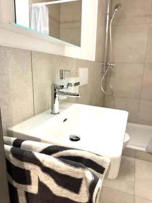 a bathroom with a white sink and a shower at Luxus Studio Apartment am Bodensee in Güttingen