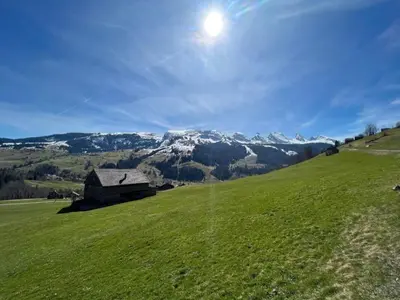 a barn in a field with a snow covered mountain at Apartment Chäserruggblick by Interhome in Unterwasser