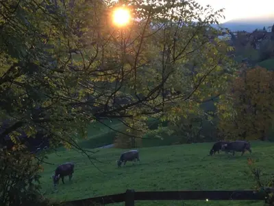 a group of cows grazing in a field at Holiday Home Neuer Sigerst by Interhome in Wildhaus