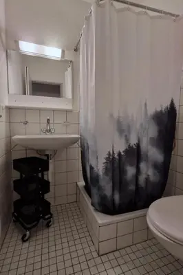 a bathroom with a shower curtain with a picture of trees at Holiday Home Ski- und Gruppenhaus by Interhome in Alt Sankt Johann