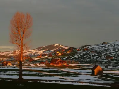a snow covered village with a tree and a mountain at Apartment Hautle by Interhome in Appenzell Innerrhoden