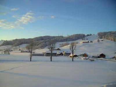 a snow covered town with trees and a mountain at Apartment Hautle by Interhome in Appenzell Innerrhoden