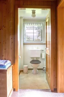 a bathroom with a toilet and a window at Apartment Hautle by Interhome in Appenzell Innerrhoden