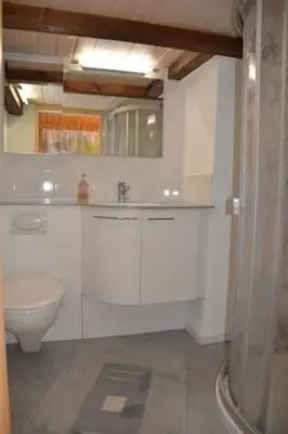 a white bathroom with a toilet and a sink at Apartment Breiten by Interhome in Brunnadern