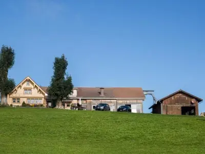 a house on a hill with cars parked in front of it at Apartment Bauernhof Fendrig - neue Wohnung by Interhome in Haslen