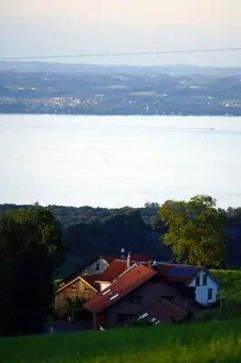 a house on a hill next to a large body of water at Holiday Home Ferien in der Vogelherd by Interhome in Wolfhalden