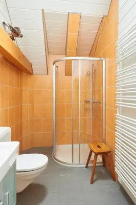 a bathroom with a shower and a toilet at Apartment Hof Höchi by Interhome in Bruggen