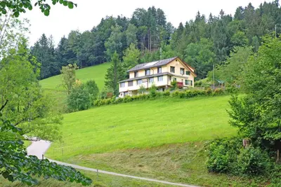 a house on top of a green hill at Sonnmatt Bergpension & Gesundheitszentrum in Ebnat