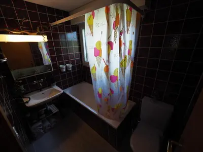 a bathroom with a shower curtain with a toilet and a sink at Naturnah und familienfreundlich in Degersheim