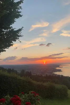 a sunset from the top of a hill with flowers at Holiday Home Unterbilchen by Interhome in Eggersriet