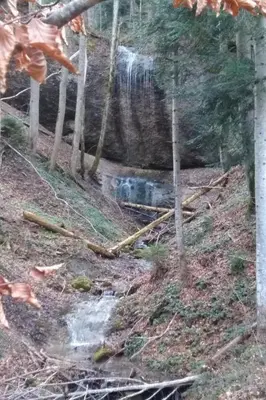 a fallen tree laying on the ground next to a waterfall at Apartment Hasenbüel by Interhome in Ricken