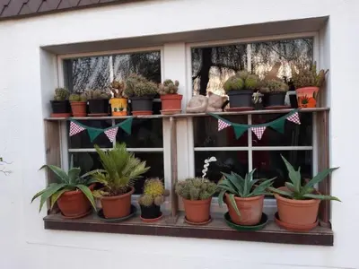 a window with a bunch of potted plants at Holiday Home Haus Chrumis by Interhome in Sankt Peterzell