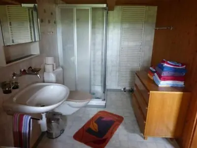 a bathroom with a shower and a toilet and a sink at Apartment Ferienhof-Barenegg by Interhome in Hemberg