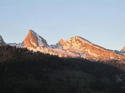 a group of mountains with trees in front of them at Apartment Gubel by Interhome in Alt Sankt Johann