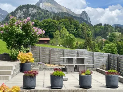 a group of pots of flowers in front of a wall at Holiday Home Bijou in Unterwasser by Interhome in Unterwasser