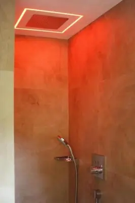 a bathroom with a shower with a red wall at Holiday Home MECK-HEI by Interhome in Wildhaus