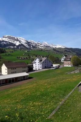 a green field with buildings and snow covered mountains at Apartment Studio Friedegg by Interhome in Wildhaus
