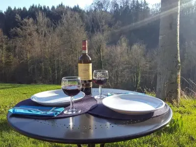 a table with a bottle of wine and two glasses at Apartment Studio Ferienwohnung - 38 m2- mit Gartennutzung by Interhome in Bottighofen