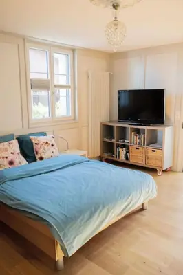 a bedroom with a bed and a flat screen tv at Apartment Studio Ferienwohnung - 38 m2- mit Gartennutzung by Interhome in Bottighofen