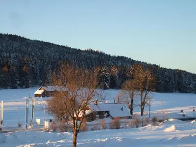 a cabin in a snow covered field with trees at Apartment Ballmoos Ferienwohnung by Interhome in Gais