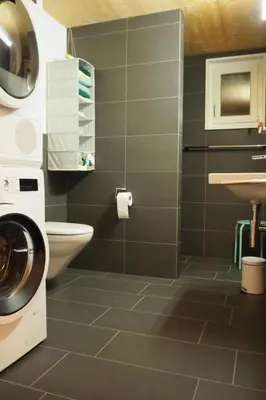 a bathroom with a washing machine and a sink at Apartment Ballmoos Ferienwohnung by Interhome in Gais