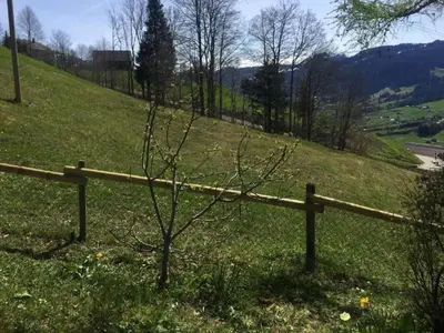 a bench sitting in the snow next to a tree at Holiday Home Feriehüsli by Interhome in Krummenau