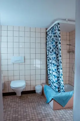 a bathroom with a toilet and a shower curtain at Holiday Home Alpenrösli in Nesslau by Interhome in Nesslau