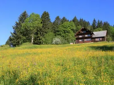 a barn in the middle of a field of flowers at Holiday Home Obere Laui by Interhome in Nesslau