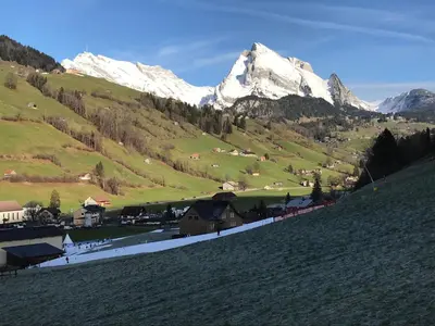 a train on a track with a mountain in the background at Apartment Modern kompakt Speer by Interhome in Alt Sankt Johann