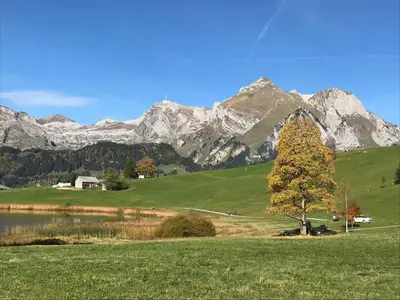 a tree in a field with mountains in the background at Apartment Modern kompakt Speer by Interhome in Alt Sankt Johann
