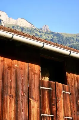 a window on a wooden building with mountains in the background at Charming Retreat for Nature Lovers near Saxerlücke in Sennwald