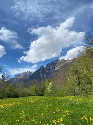 a green field with flowers and mountains in the background at Charming Retreat for Nature Lovers near Saxerlücke in Sennwald