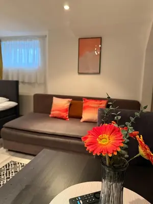 a living room with a couch and a vase with flowers at Whirlpool on Lake Constance with free parking in Romanshorn