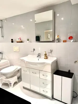 a bathroom with a sink and a toilet and a mirror at Whirlpool on Lake Constance with free parking in Romanshorn