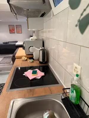a kitchen with a sink and a microwave at Whirlpool on Lake Constance with free parking in Romanshorn
