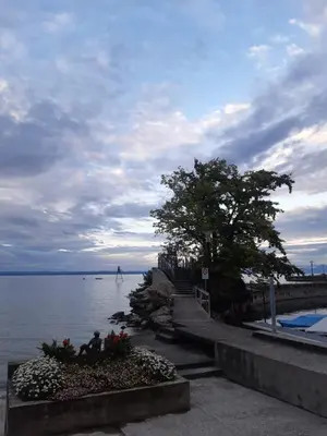 a view of a body of water with a tree at Ferienwohnung Engel in Romanshorn