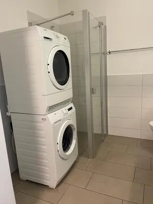 a washing machine and a dryer in a bathroom at Hotel Swiss Bellevue in Kreuzlingen