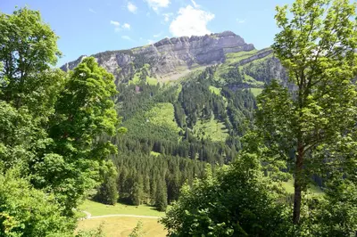 a view of a mountain with trees in the foreground at Berggasthaus Voralp in Grabs