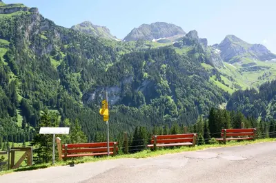 a road with two benches on the side of a mountain at Berggasthaus Voralp in Grabs