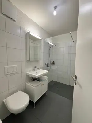 a white bathroom with a toilet and a sink at Neues Studio am Bodensee in Arbon
