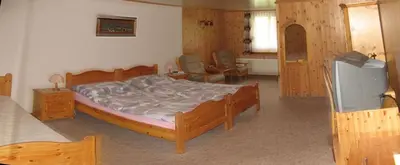 a bedroom with a bed and a tv in it at Hotel Garni Traube B&B in Schwellbrunn