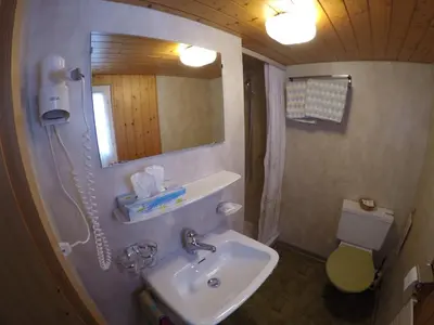 a bathroom with a sink and a mirror and a toilet at Hotel Garni Traube B&B in Schwellbrunn