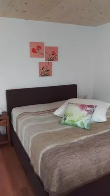 a bedroom with a bed with two pictures on the wall at Hotel Enjoy in Goldach