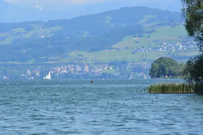 a large body of water with a city in the background at Landgasthof Seelust in Egnach