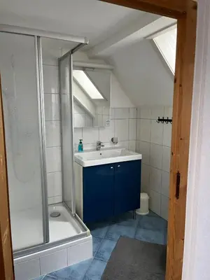 a bathroom with a shower and a sink at Hotel Bären Amriswil in Amriswil