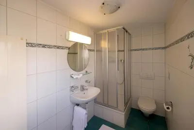 a bathroom with a sink and a shower and a toilet at Landgasthof Werdenberg in Werdenberg