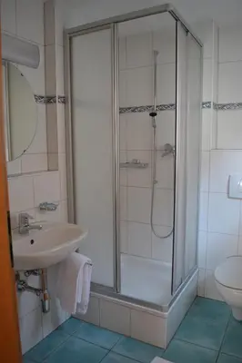 a bathroom with a shower and a sink at Landgasthof Werdenberg in Werdenberg