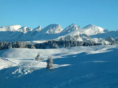 a snowy mountain range with trees and snow covered mountains at Berghotel Sellamatt in Alt Sankt Johann