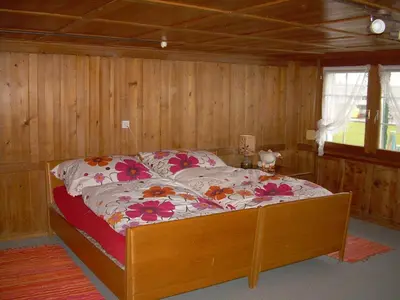a bedroom with a bed in a room with wooden walls at Wohlfühloase für Mensch und Hund in Uzwil