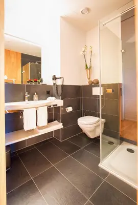a bathroom with a toilet and a sink and a shower at Hotel Restaurant Rhy in Oberriet